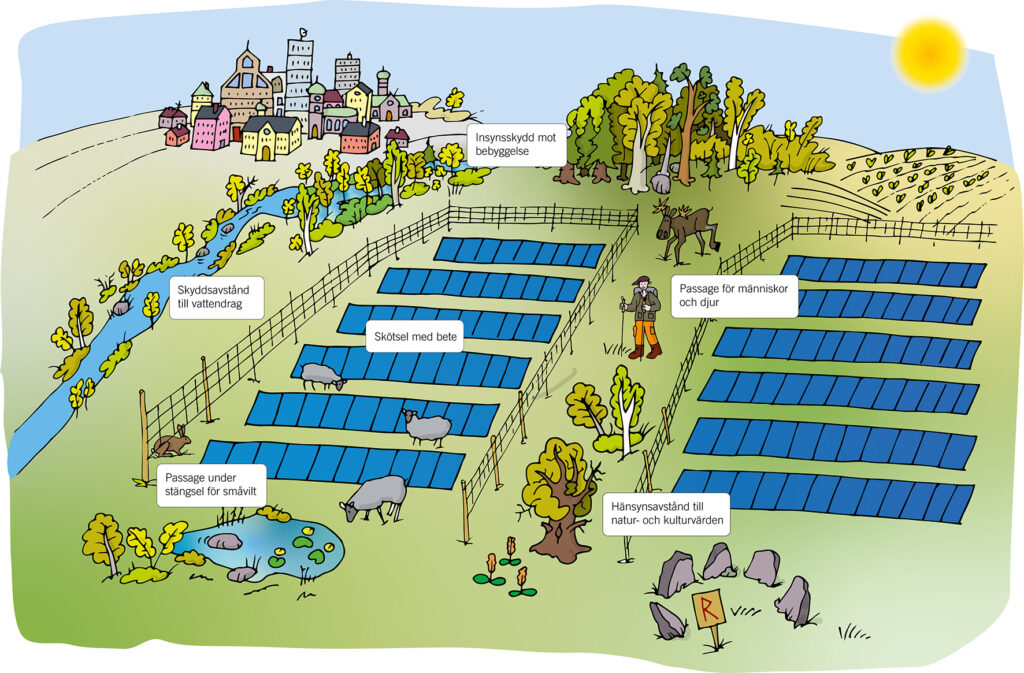 Illustration av en solcellspark med olika aspekter att utreda exempelvis skyddsavstånd till vattendrag, skötsel med bete, passage under stängsel för småvilt, insynsskydd mot bebyggelse, passage för människor och djur samt hänsynsavstånd till natur- och kulturvärden.